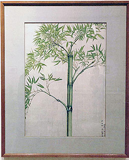 勝運寺の竹